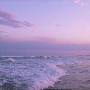 Meet your Posher, Karlie